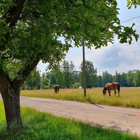公寓 Alter Stall *
