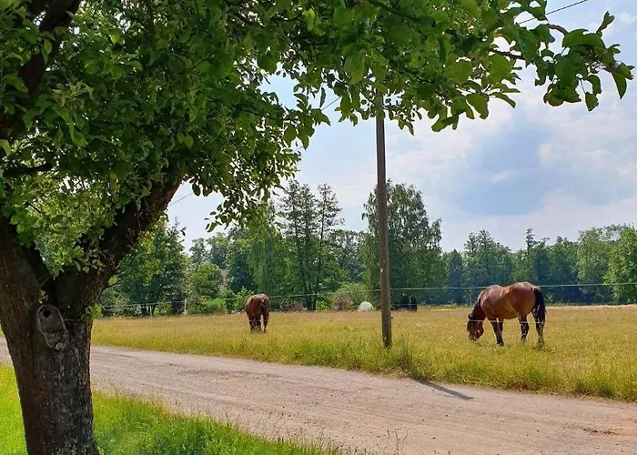 شقة Alter Stall *