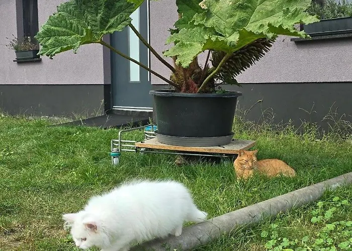 Alter Stall * بورغ